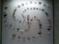 2013-07-25 19.14.14  The museum had great displays about all aspects of the region.